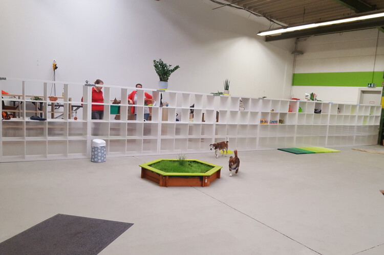 Ob Regen oder Schnee - unsere Halle bietet den perfekten Spielplatz für unsere vierbeinigen Gäste, geschützt vor allen Witterungsbedingungen.